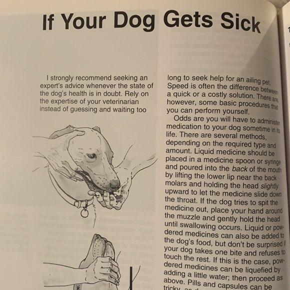 🔥4/$25🔥Labrador retrievers manual - Picture 7 of 9